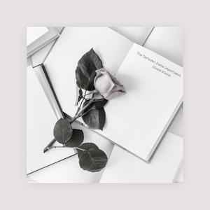 女厕偷拍未删减版
